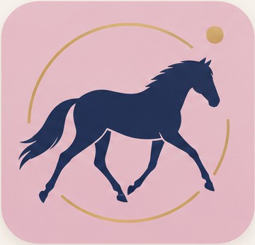 Bewegungsheld Icon